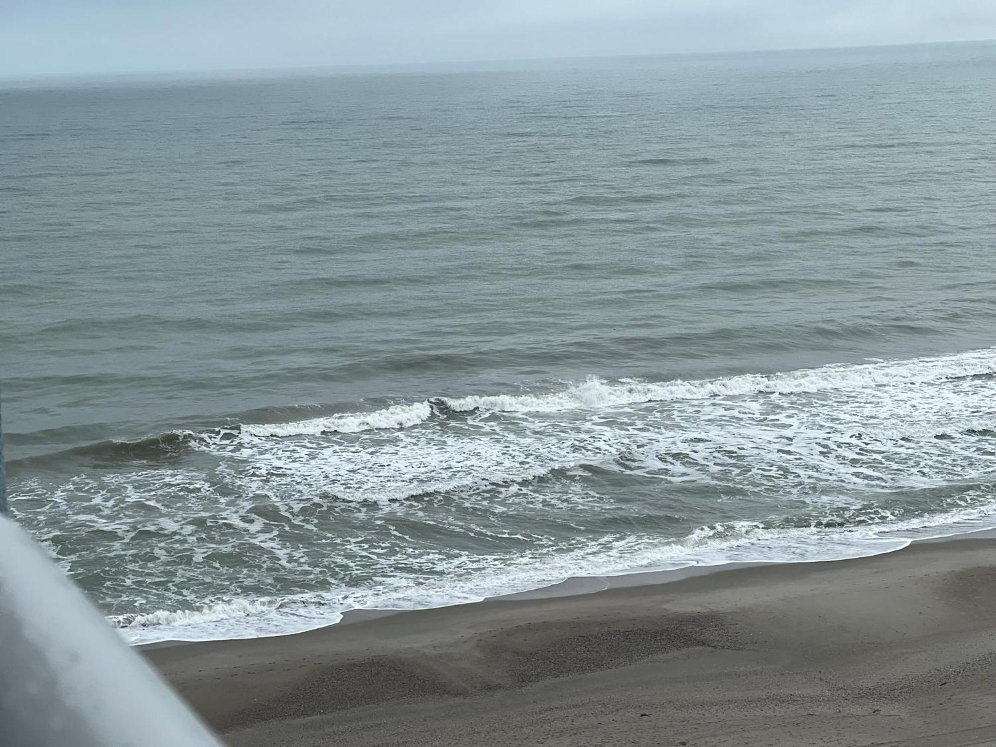 Вілла 2501 S Ocean Blvd, 0811 - Ocean Front Sleeps 6 Мертл-Біч Екстер'єр фото